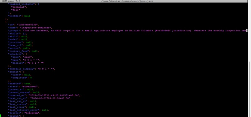 OpenClaw2026_AryoWirastomo – screenshot 4