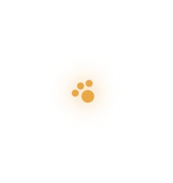 OpenClaw2026_Ryann_Pip – screenshot 2