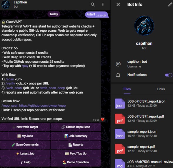 OpenClaw2026_Zai_ClawVAPT – screenshot 3