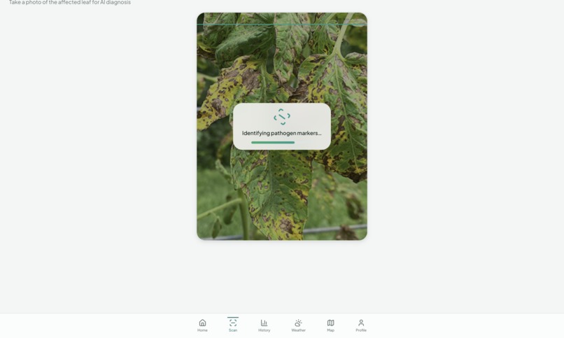 Lumora – screenshot 6