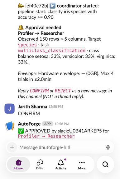 AutoForge – screenshot 3