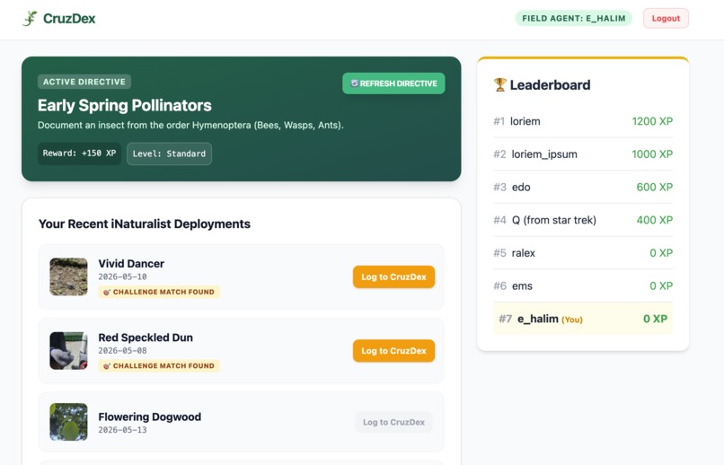 CruzDex – screenshot 1