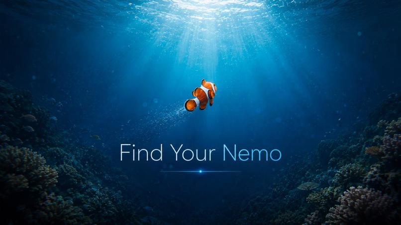 Finding Nemo – screenshot 1