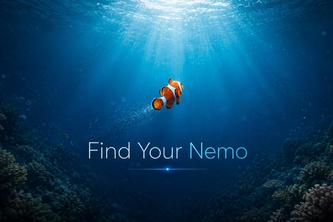 Finding Nemo