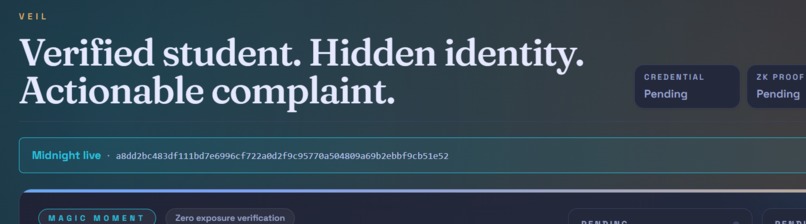 veil – screenshot 3