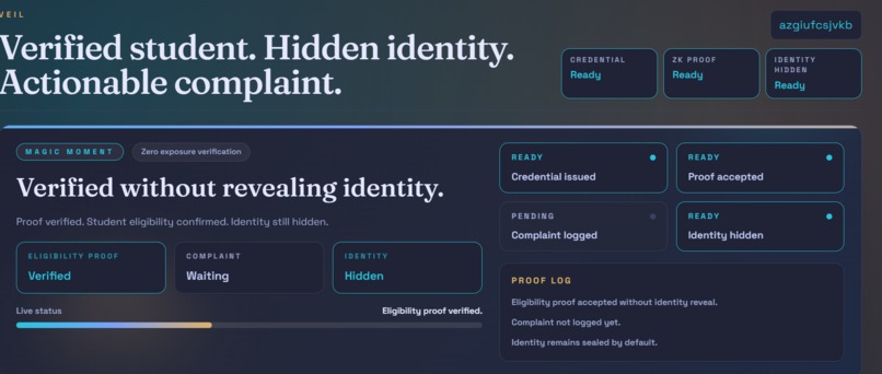 veil – screenshot 4