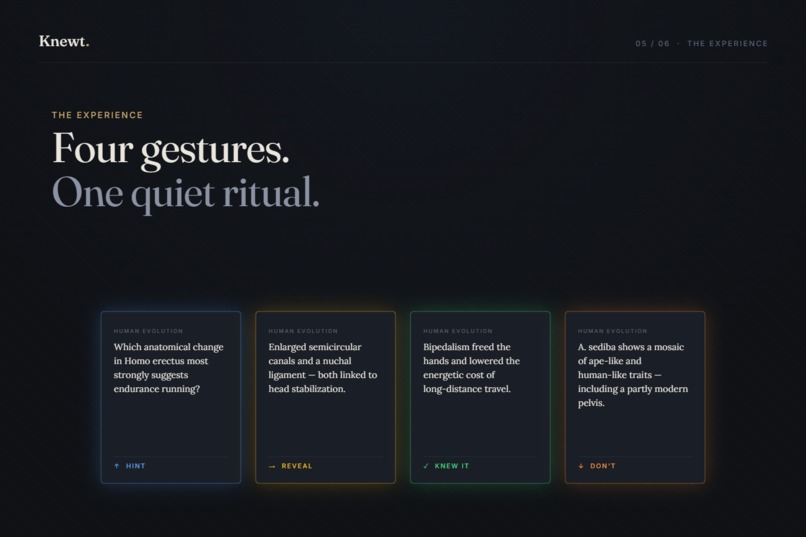 Knewt. - For the knowledge that stays – screenshot 3