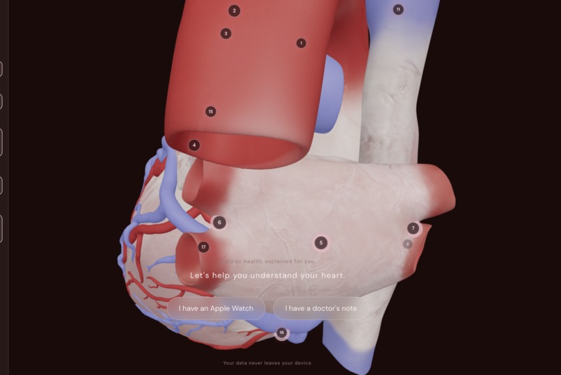 Hear Your Heart – screenshot 1