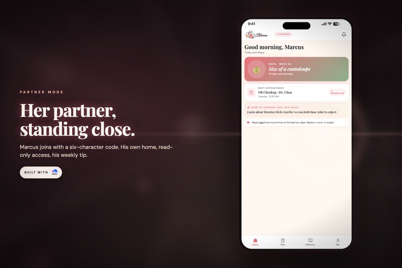 Bloom – screenshot 5