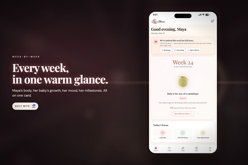 Bloom – screenshot 6