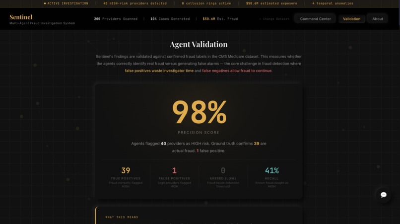 Sentinel: Multi-Agent Fraud Investigation System – screenshot 12
