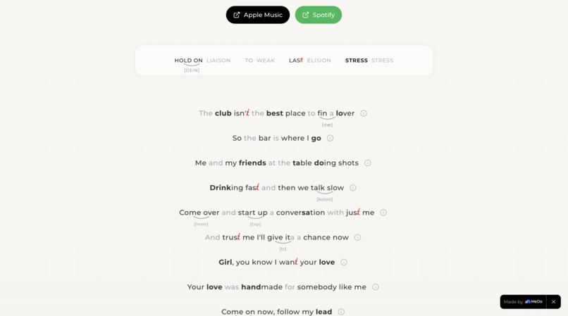 LyricFlow — English Song Pronunciation Annotator – screenshot 2