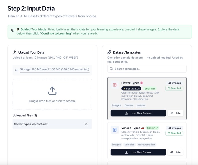 Model Mentoring: An AI Lab for Conceptual Learning – screenshot 5