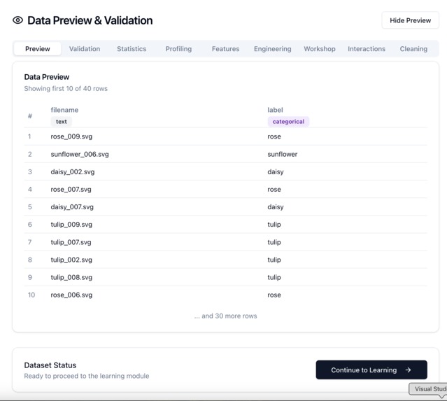 Model Mentoring: An AI Lab for Conceptual Learning – screenshot 6