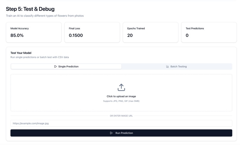Model Mentoring: An AI Lab for Conceptual Learning – screenshot 12