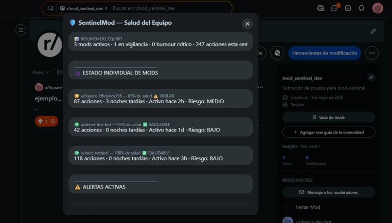 SentinelMod – screenshot 1