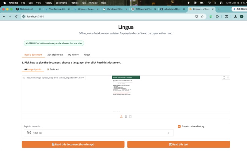 Lingua — the paper she couldn't read – screenshot 2