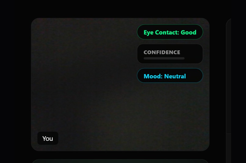 HIREPREP-AI – screenshot 5