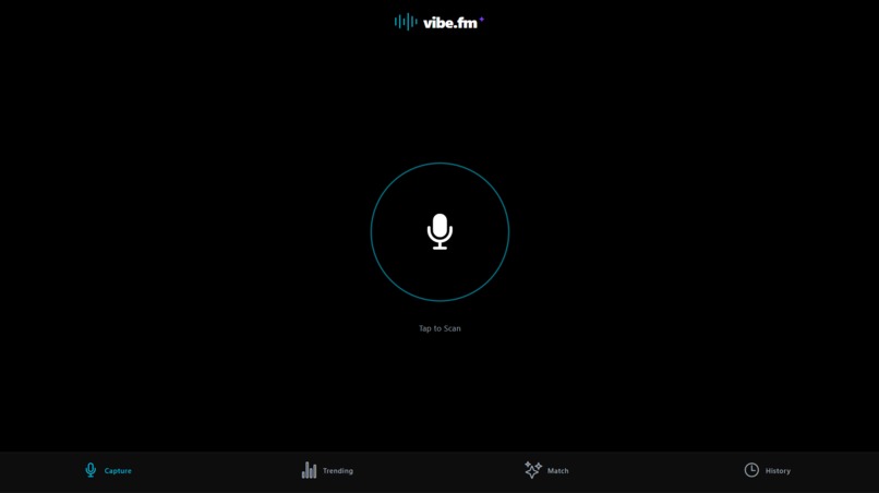 vibefm – screenshot 1