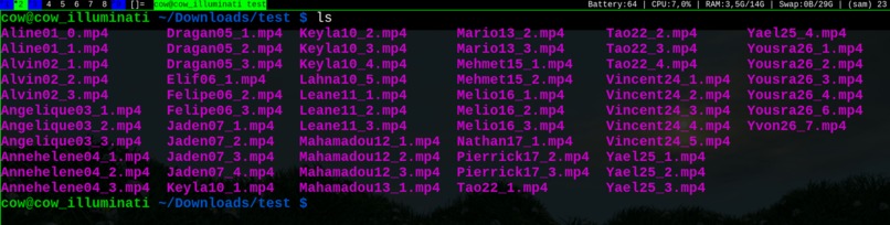 AutoCat – screenshot 3