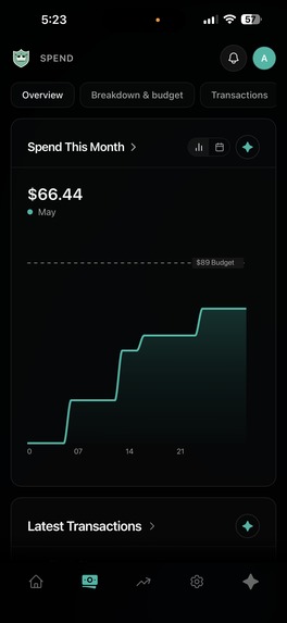 KODA Finance - The Gen-Z Financial Tracking Platform – screenshot 5