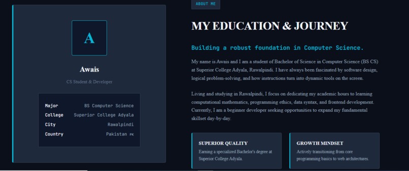 My First Low-code No code project Portfolio – screenshot 2
