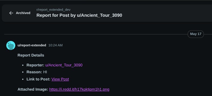 Report Extended – screenshot 3