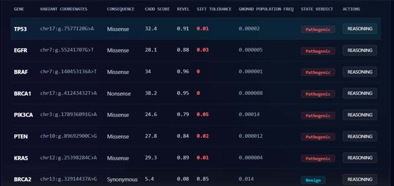 OncoSage AI – screenshot 2