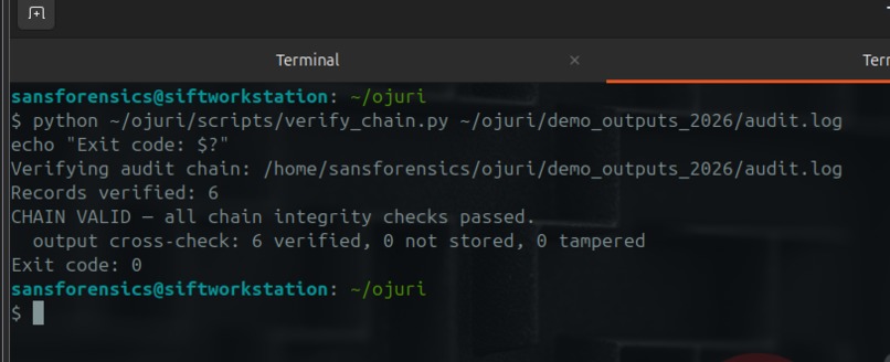 Ojuri-Forensically Defensible AI for DFIR – screenshot 2