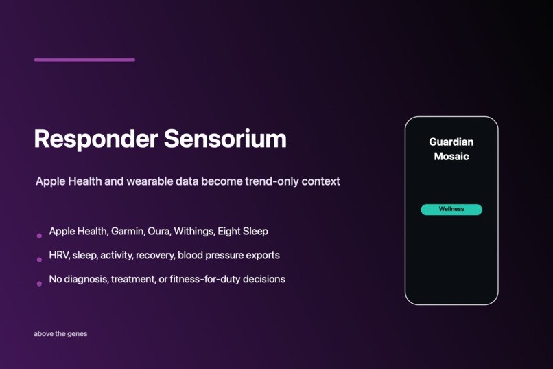 Guardian Mosaic – screenshot 3