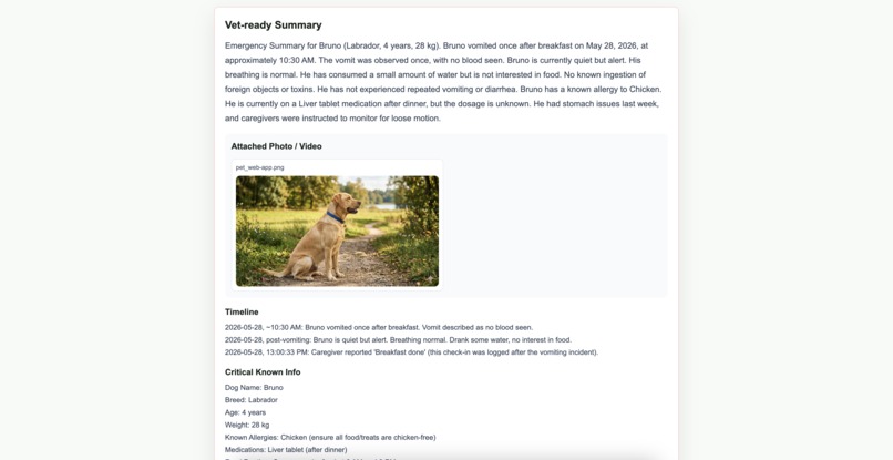 Pet Guardian – screenshot 19