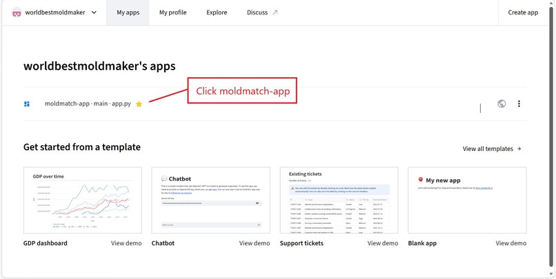 MoldMatch  – screenshot 5