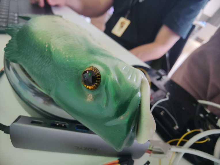 Schlauer Fisch – screenshot 2