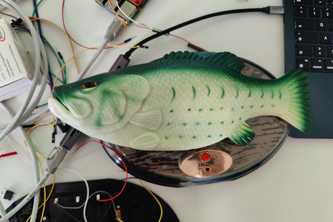 Schlauer Fisch