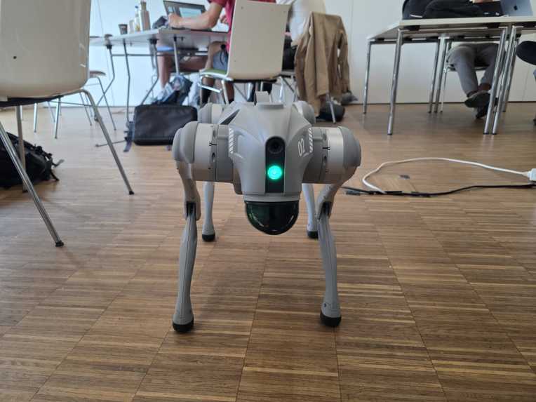 SNOOPY (Sensory Navigation Object Observation PuppY) – screenshot 3