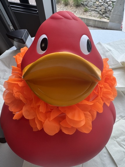 DuckDuck(hopefully)Swim – screenshot 1