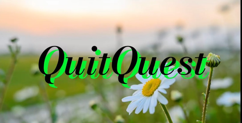 QuitQuest – screenshot 1
