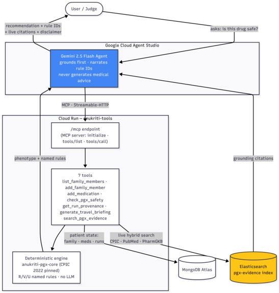 Anukriti — Pre-Prescription Safety Agent – screenshot 1