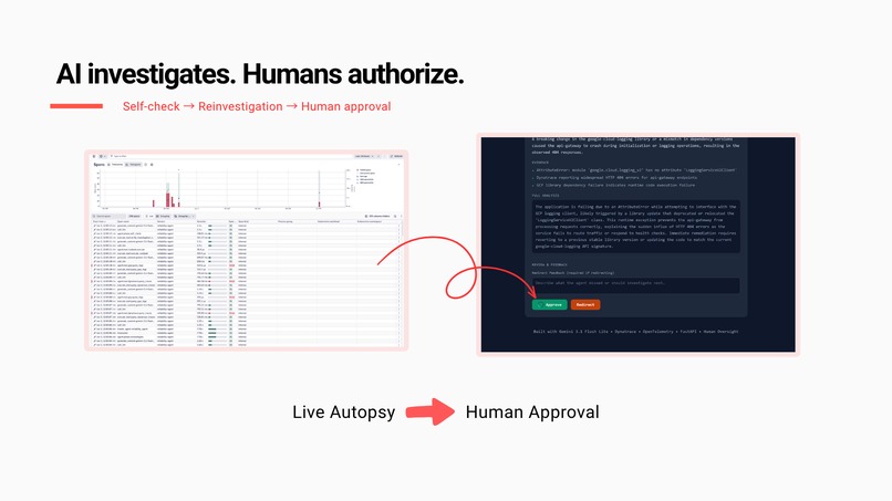 ReliabilityAgent : AI That Audits Itself – screenshot 2