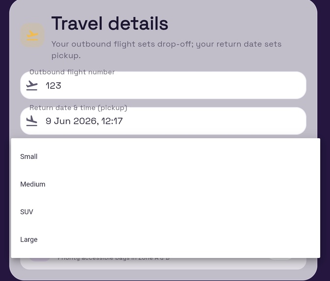 Can You Beat Airport Parking Chaos – screenshot 2
