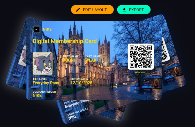 Project Romax Digital – screenshot 7