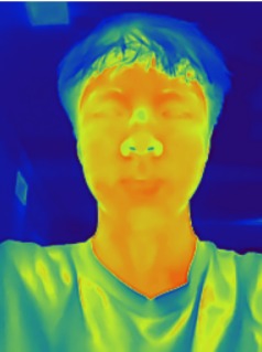 ThermoHalo - AI Firearm Detection – screenshot 5