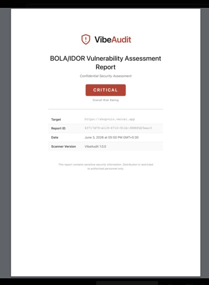 VibeAudit – screenshot 6