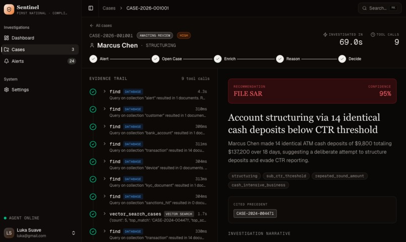 Sentinel – screenshot 1