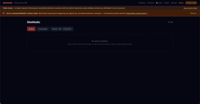 SiteMedic – screenshot 1