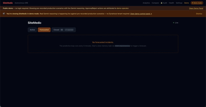 SiteMedic – screenshot 2