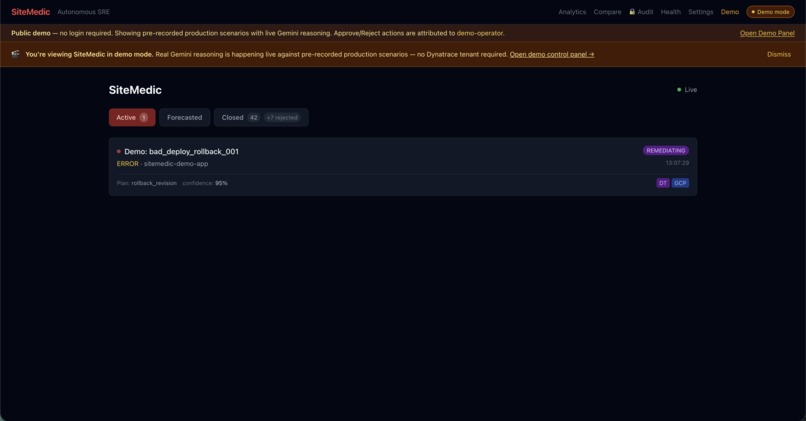 SiteMedic – screenshot 4