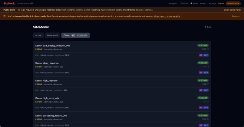 SiteMedic – screenshot 7