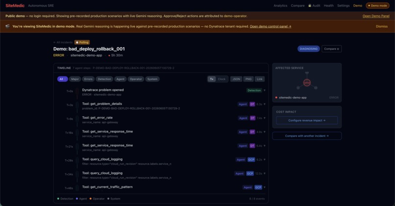 SiteMedic – screenshot 15
