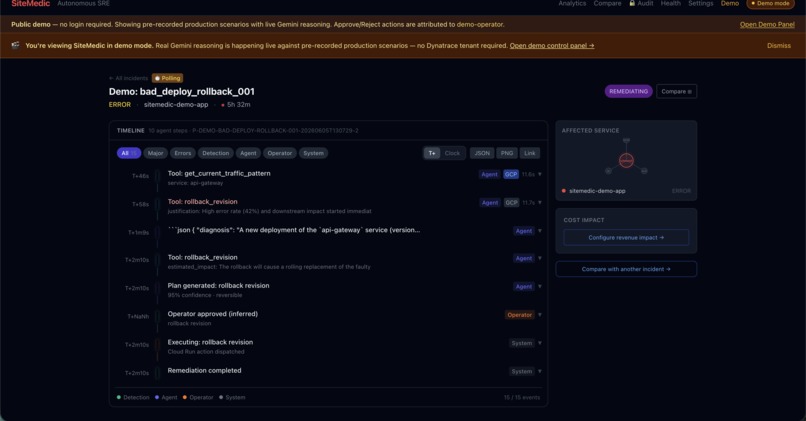 SiteMedic – screenshot 16